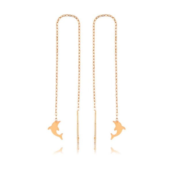 Gümüş Zincirli Yunus Balığı Küpe